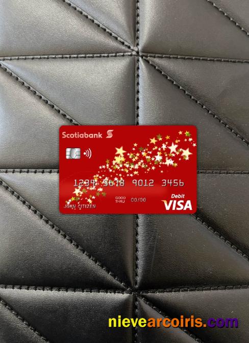 Bahamas Scotia bank visa card photolook